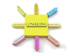 Synergies charity management consultancy