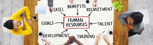Developing organisational human resources